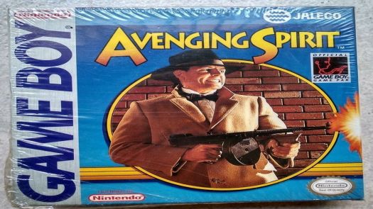 Avenging Spirit