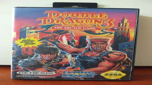 Double Dragon 3 - The Arcade Game