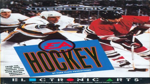 NHL Hockey 91