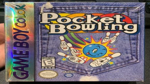 Pocket Bowling